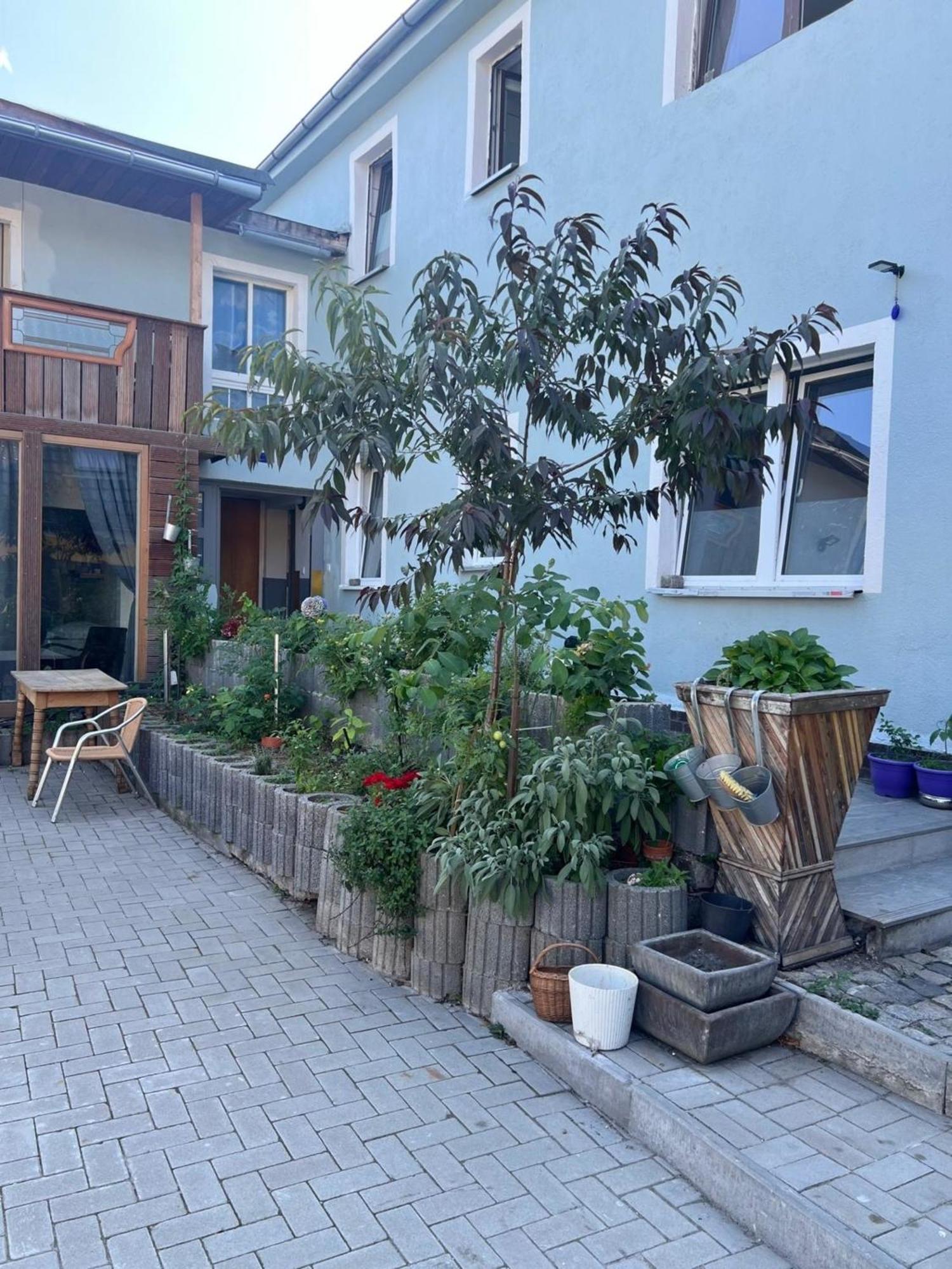 Antike Wohnmoeglichkeit Kurz Und Langfristig 100Qm Erdgeschoss Apartment Lauchhammer Luaran gambar