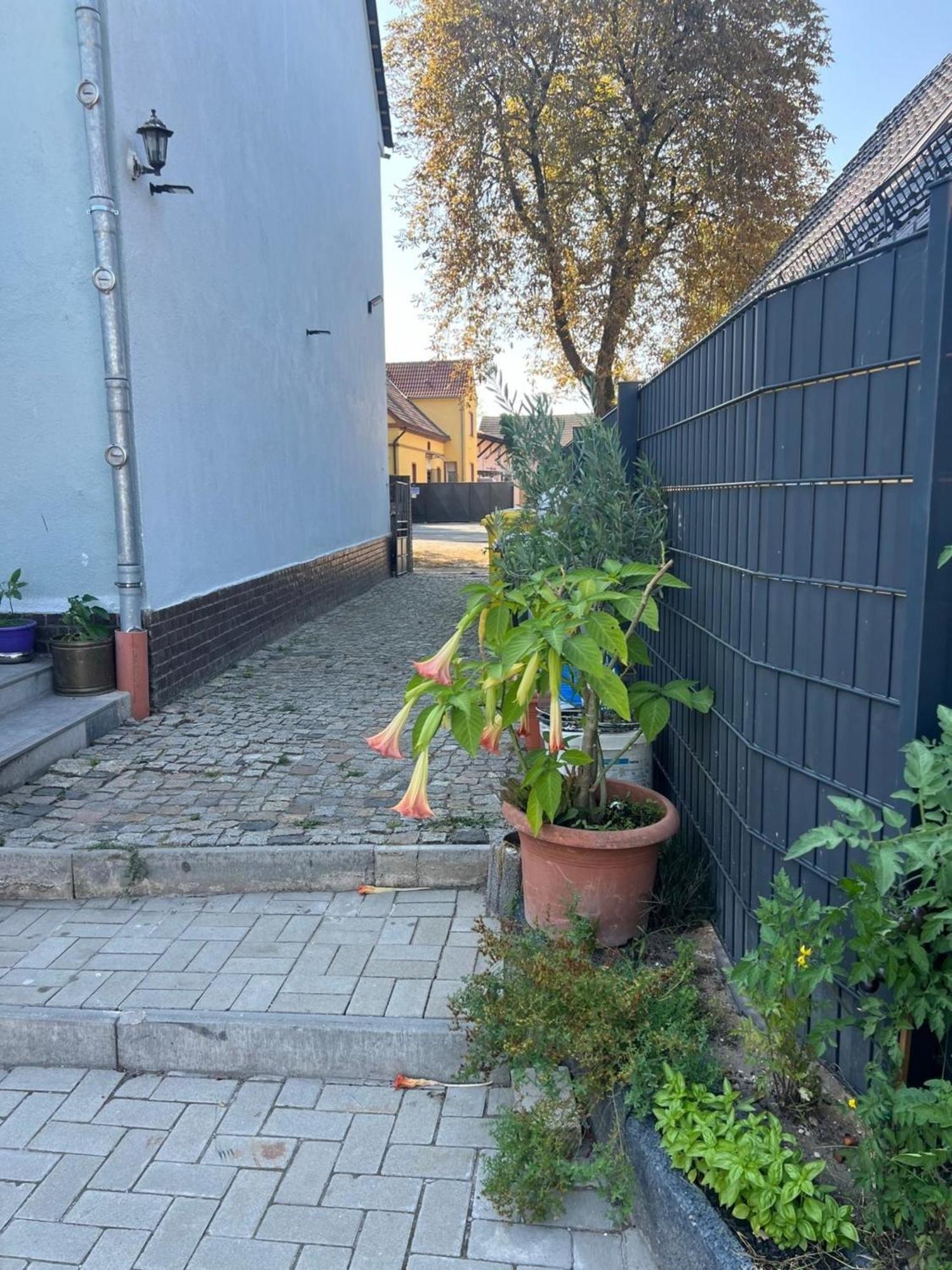 Antike Wohnmoeglichkeit Kurz Und Langfristig 100Qm Erdgeschoss Apartment Lauchhammer Luaran gambar